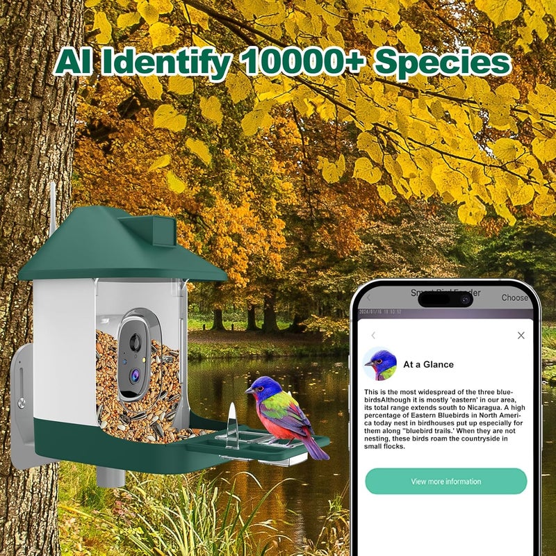 Vatjubi Bird Feeder with Camera,Smart Birdwatching Camera with Solar Powered,AI Identify Species,Instant Notifications,FHD Live View,Auto Record Video in Backyard,Ideal Gifts for Family and Bird Lovers - Image 2